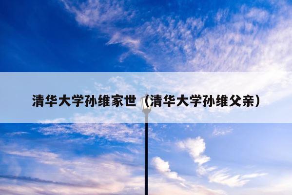 清华大学孙维家世（清华大学孙维父亲） 第1张