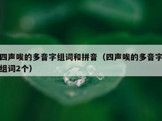 四声唉的多音字组词和拼音（四声唉的多音字组词2个） 第1张