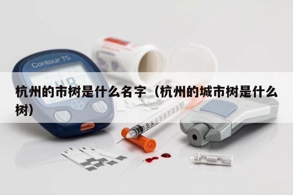 杭州的市树是什么名字（杭州的城市树是什么树） 第1张