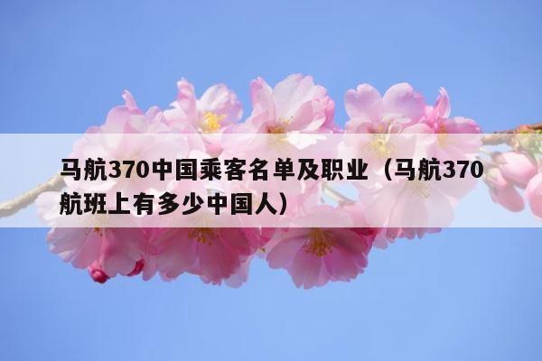 马航370中国乘客名单及职业（马航370航班上有多少中国人） 第1张