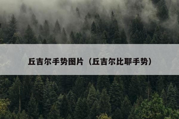 丘吉尔手势图片（丘吉尔比耶手势） 第1张