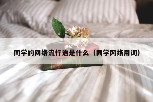 同学的网络流行语是什么（同学网络用词） 第1张