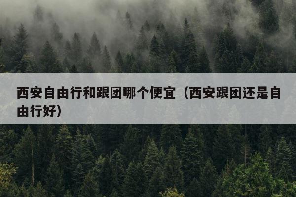 西安自由行和跟团哪个便宜（西安跟团还是自由行好） 第1张