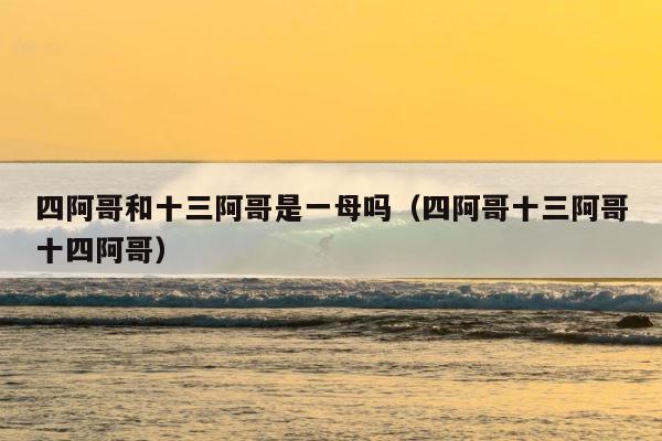 四阿哥和十三阿哥是一母吗（四阿哥十三阿哥十四阿哥） 第1张