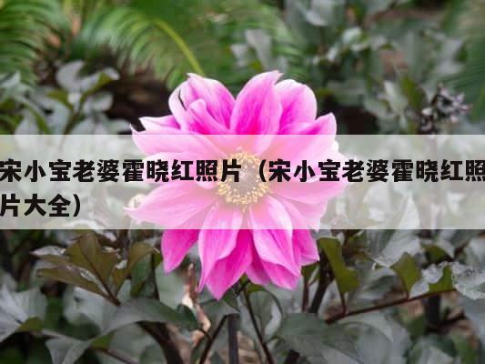 宋小宝老婆霍晓红照片（宋小宝老婆霍晓红照片大全） 第1张
