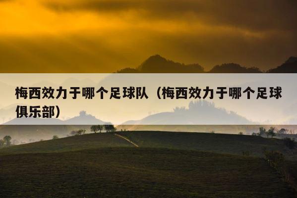 梅西效力于哪个足球队（梅西效力于哪个足球俱乐部） 第1张