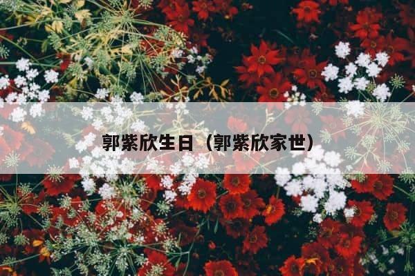 郭紫欣生日（郭紫欣家世） 第1张
