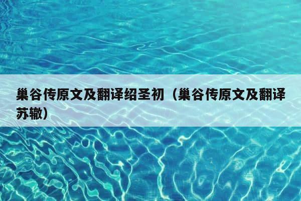巢谷传原文及翻译绍圣初（巢谷传原文及翻译苏辙） 第1张