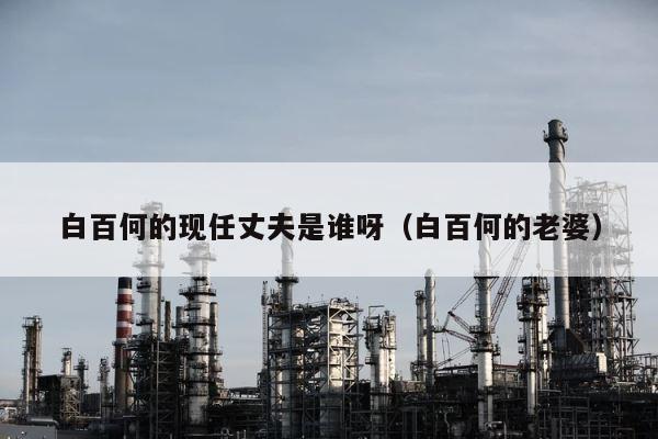 白百何的现任丈夫是谁呀（白百何的老婆） 第1张