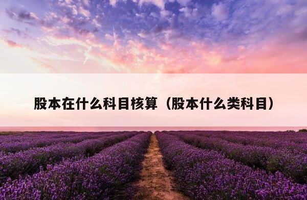 股本在什么科目核算（股本什么类科目） 第1张
