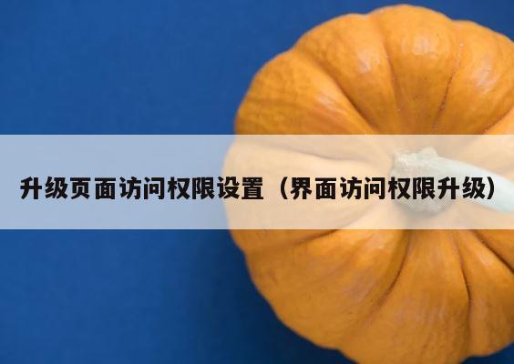 升级页面访问权限设置（界面访问权限升级） 第1张