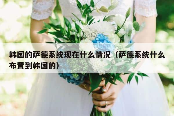 韩国的萨德系统现在什么情况（萨德系统什么布置到韩国的） 第1张