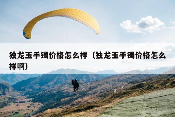 独龙玉手镯价格怎么样（独龙玉手镯价格怎么样啊） 第1张