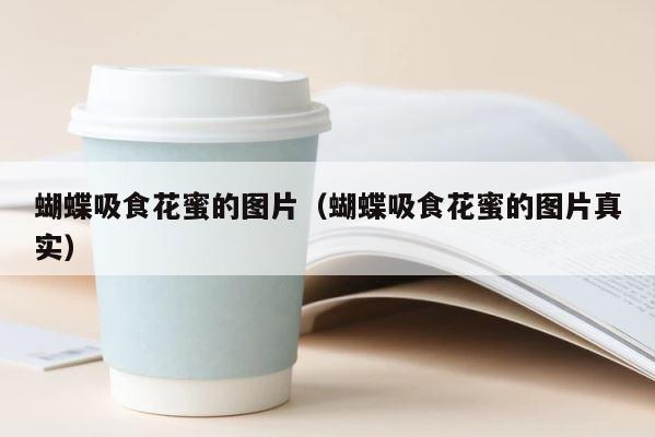 蝴蝶吸食花蜜的图片（蝴蝶吸食花蜜的图片真实） 第1张