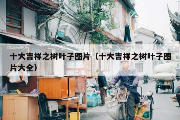 十大吉祥之树叶子图片（十大吉祥之树叶子图片大全） 第1张