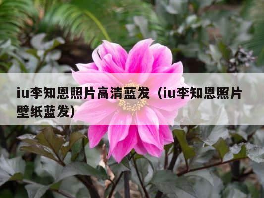 iu李知恩照片高清蓝发（iu李知恩照片 壁纸蓝发） 第1张