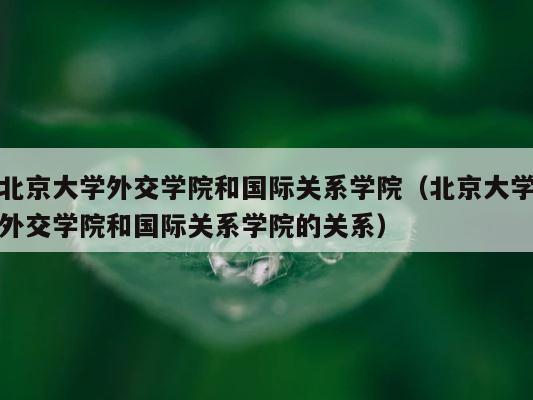北京大学外交学院和国际关系学院（北京大学外交学院和国际关系学院的关系） 第1张