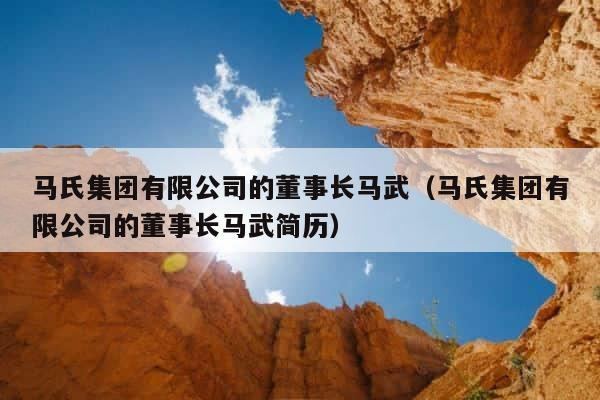 马氏集团有限公司的董事长马武（马氏集团有限公司的董事长马武简历） 第1张