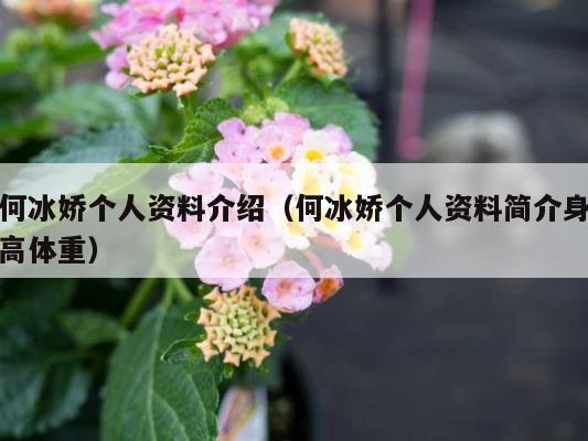 何冰娇个人资料介绍（何冰娇个人资料简介身高体重） 第1张