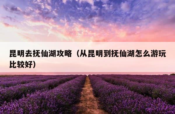 昆明去抚仙湖攻略（从昆明到抚仙湖怎么游玩比较好） 第1张