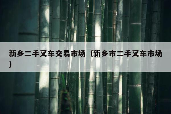 新乡二手叉车交易市场（新乡市二手叉车市场） 第1张