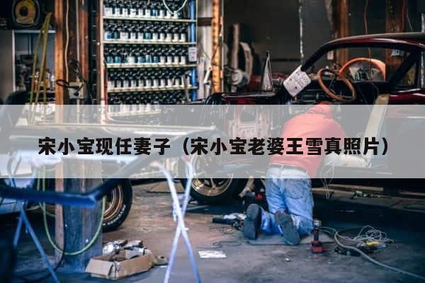 宋小宝现任妻子（宋小宝老婆王雪真照片） 第1张