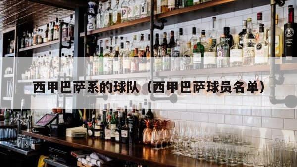 西甲巴萨系的球队（西甲巴萨球员名单） 第1张