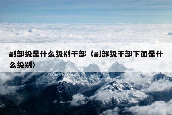 副部级是什么级别干部（副部级干部下面是什么级别） 第1张