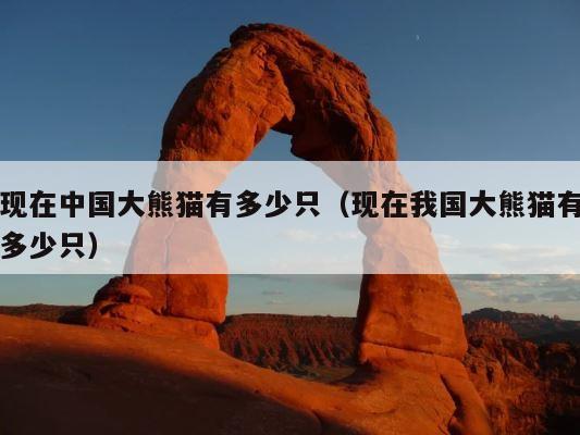 现在中国大熊猫有多少只（现在我国大熊猫有多少只） 第1张