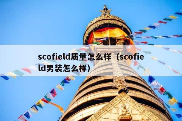 scofield质量怎么样（scofield男装怎么样） 第1张