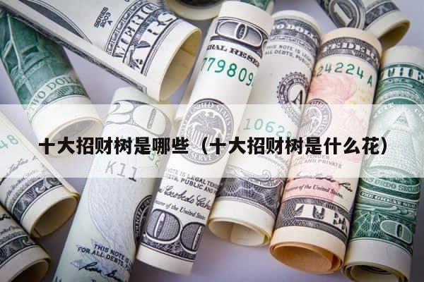 十大招财树是哪些（十大招财树是什么花） 第1张