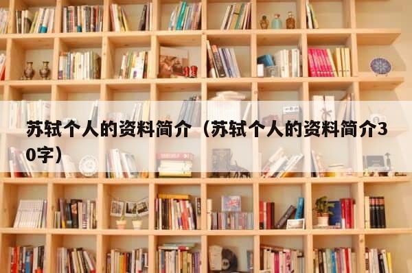 苏轼个人的资料简介（苏轼个人的资料简介30字） 第1张