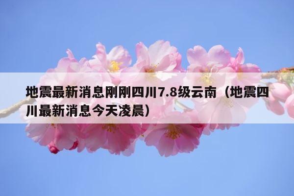 地震最新消息刚刚四川7.8级云南（地震四川最新消息今天凌晨） 第1张