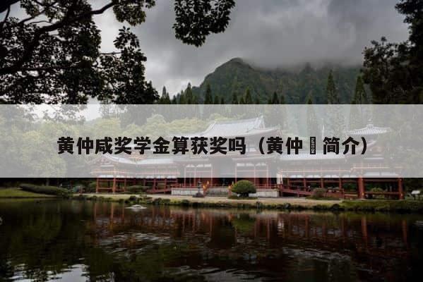 黄仲咸奖学金算获奖吗（黄仲崑简介） 第1张
