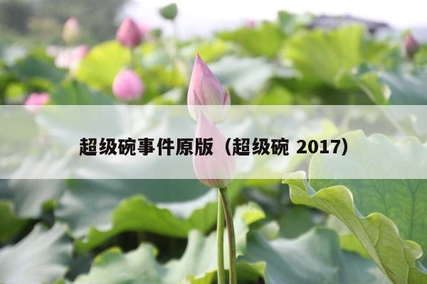 超级碗事件原版（超级碗 2017） 第1张