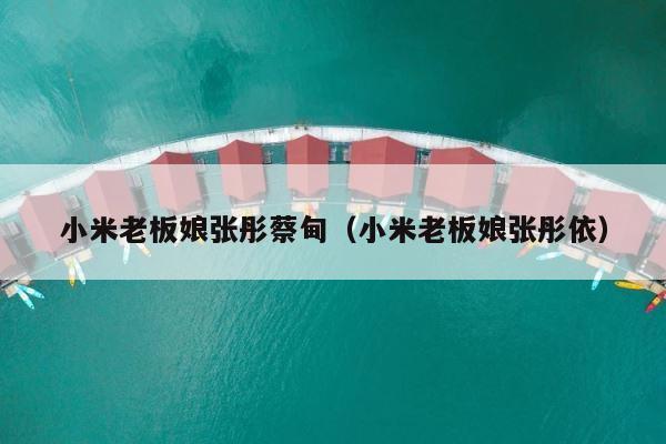 小米老板娘张彤蔡甸（小米老板娘张彤依） 第1张