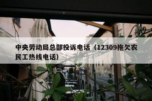 中央劳动局总部投诉电话（12309拖欠农民工热线电话） 第1张