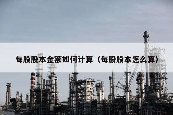每股股本金额如何计算（每股股本怎么算） 第1张
