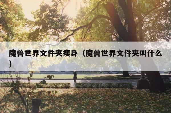 魔兽世界文件夹瘦身（魔兽世界文件夹叫什么） 第1张