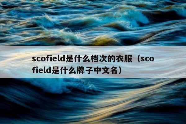 scofield是什么档次的衣服（scofield是什么牌子中文名） 第1张