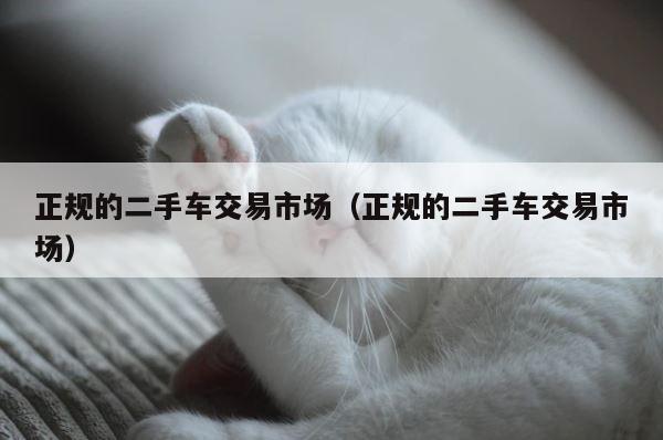 正规的二手车交易市场（正规的二手车交易市场） 第1张