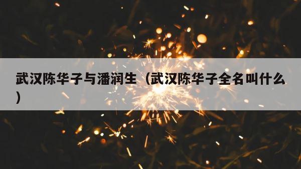 武汉陈华子与潘润生（武汉陈华子全名叫什么） 第1张