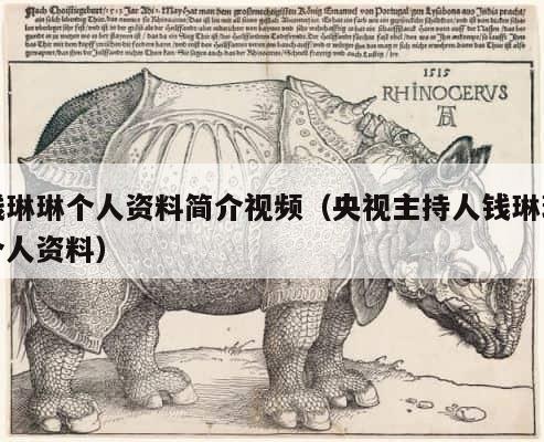 钱琳琳个人资料简介视频（央视主持人钱琳琳个人资料） 第1张