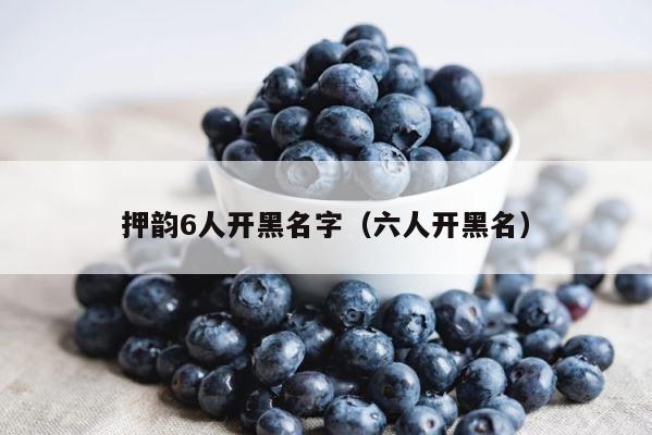 押韵6人开黑名字（六人开黑名） 第1张