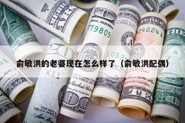 俞敏洪的老婆现在怎么样了（俞敏洪配偶） 第1张