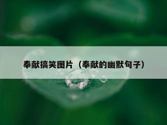 奉献搞笑图片（奉献的幽默句子） 第1张