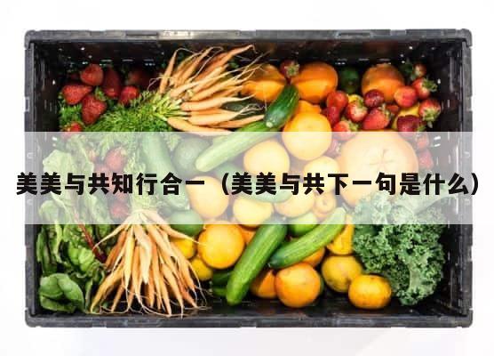 美美与共知行合一（美美与共下一句是什么） 第1张