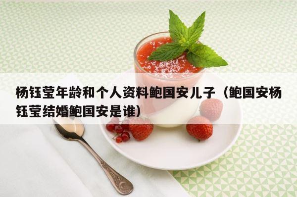 杨钰莹年龄和个人资料鲍国安儿子（鲍国安杨钰莹结婚鲍国安是谁） 第1张