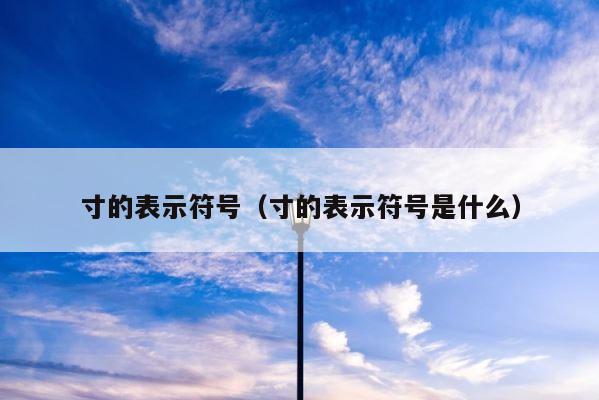 寸的表示符号（寸的表示符号是什么） 第1张