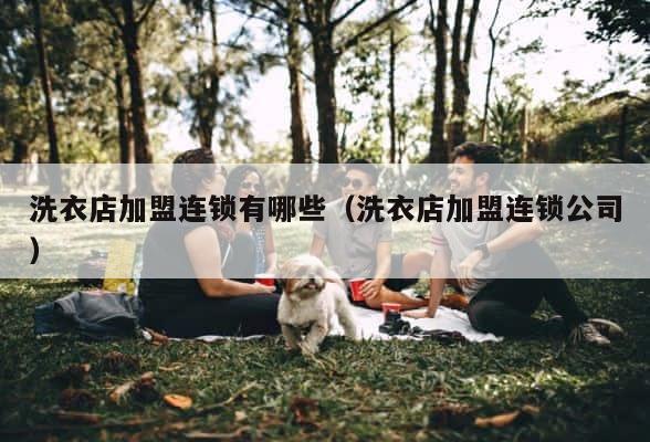 洗衣店加盟连锁有哪些（洗衣店加盟连锁公司） 第1张